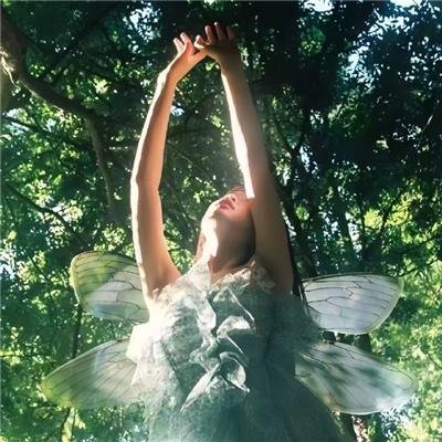 青春海滩大电影